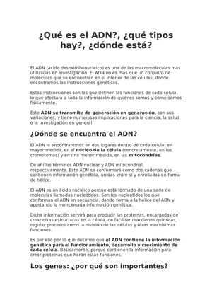 Qué Es El Adn
