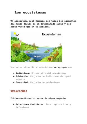 Los Ecosistemas