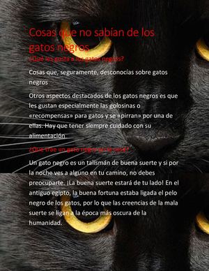 Cosas Que No Sabían De Los