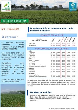 Bulletin Irrigation été 2023 n°4