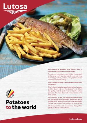 Customer leaflet Laos - EN