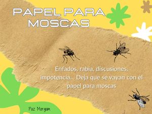 Papel Para Moscas