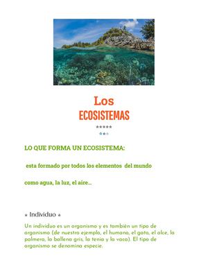 Los Ecosistemas Documentos De Google