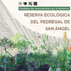 Medidas De Convivencia Con El Entorno Repsa