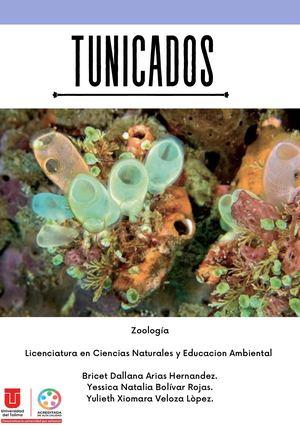Seminario Tunicados