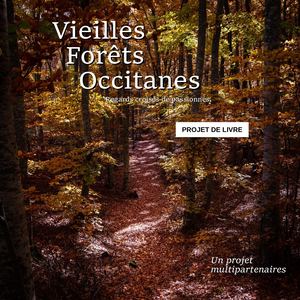 Vieilles forêts Occitanes Projet V3