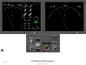 Max Dual Mfd Oper Icn B737t A 461300 A 81205 00127 A