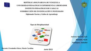 Tipos De Disciplinariedad