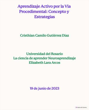 Aprendizaje Activo Por La Via Procedimental Concepto Y Estrategias