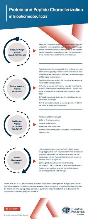 Protein Drug Characterization In Biopharmaceuticals