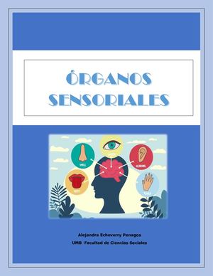 Sistemas Sensoriales