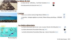 Laisse de mer / Estran/ Chaîne alimentaire