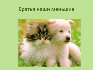 Братья наши меньшие