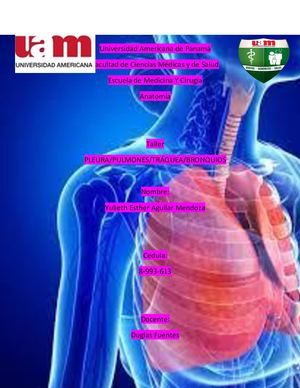 Yulieth Aguilar Taller Pleura Y Pulmones