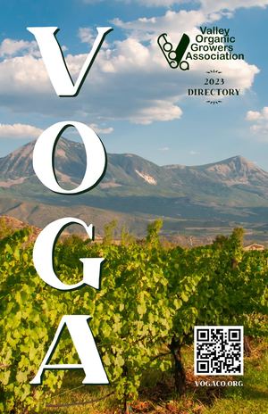 VOGA Directory 2023