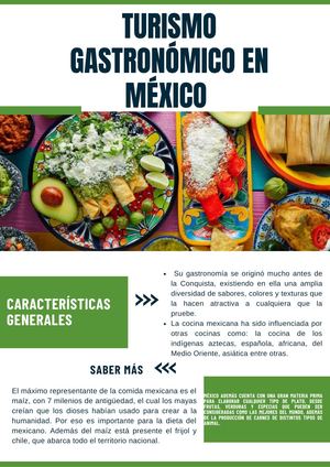 Newsletter Boletín Informativo Naturaleza Ecología Y Sostenibilidad Minimalista Blanco Y Verde (1)