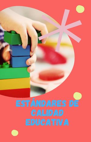 Estandares De Calidad