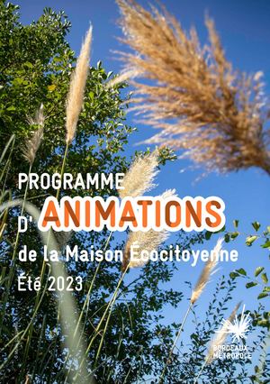 Calaméo - Programme été 2023