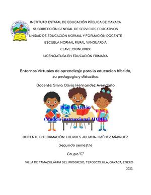 Plan De Acción Addie
