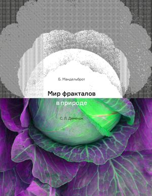 Мир фракталов в природе
