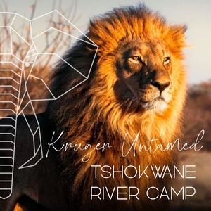 KRUGER UNTAMED: TSHOKWANE RIVER CAMP