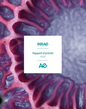 Rapport d'activité 2022 INRAE