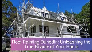 Dunedin's Top Choice for Roof Painting and Repairs