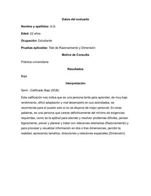 Informes Para El Trabajo Final De Pruebas