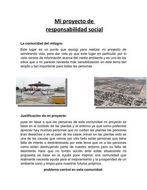 Responsabilidad Social Paolo Farfan