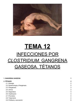 Tema 12.- Infecciones Por Clostridium Gangrena Gaseosa Tétanos
