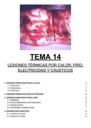 Tema 14 Lesiones Térmicas Por Calor, Frío, Electricidad Y Cáusticos