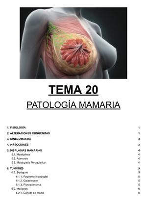 Tema 20 Patología Mamaria