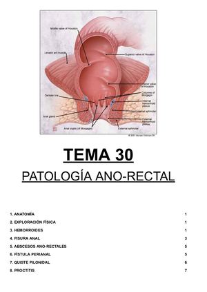 Tema 30 Patología Ano Rectal