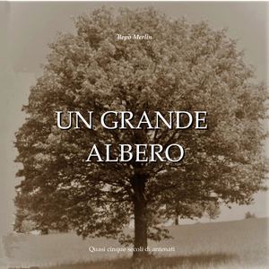 Un Grande Albero Completo