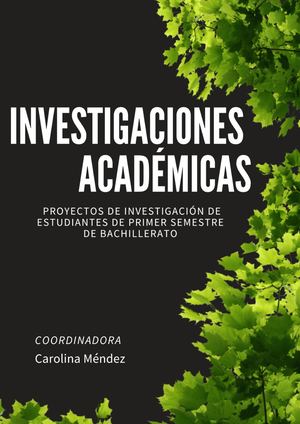 Investigaciones Académicas