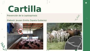 Cartilla Leptospirosis
