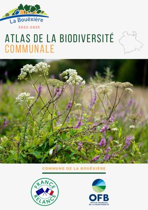 Abc La Bouëxière (2022 2023)