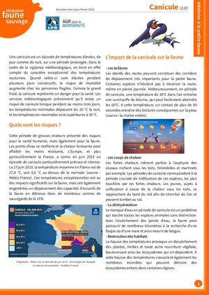 Canicule 2022 Web