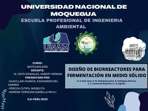 Diseño De Biorreactores Para Fermentación En Medio Sólido