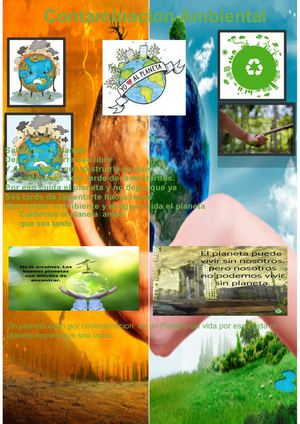 Afiche De La Contaminacion Ambiental