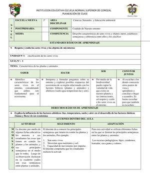Planes De Clases Y Sus Guias Escuela Nueva Iii Semestre