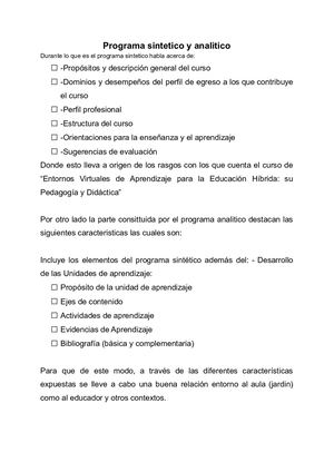 Programa Sintetico Y Analitico (1).