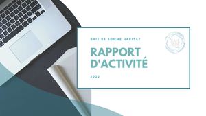 Rapport D'activité 2022