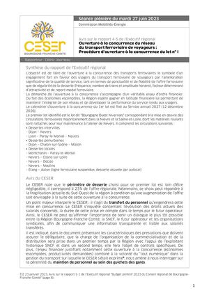 Ouverture à la concurrence du réseau  du transport ferroviaire de voyageurs : Procédure d'ouverture à la concurrence du lot n° 1
