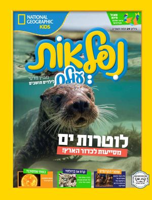 נפלאות גיליון 29 תמוז