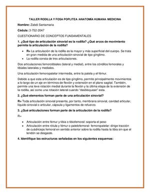 Copia De Taller Rodilla Y Fosa Poplitea Viernes