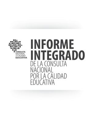 Informe Integrado De La Consulta