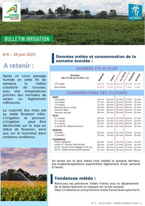 Bulletin Irrigation été 2023 n°6