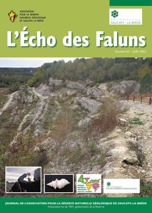 Echo 2023 40 Ans Resolution Ecran