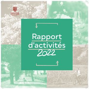 Rapport d'activités 2022 DPVa